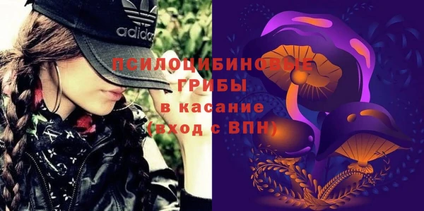 ECSTASY Майский